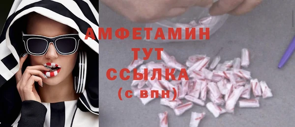 твердый Володарск