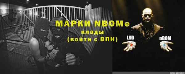 ешки Семилуки