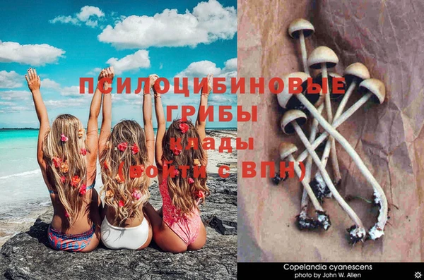 винт Саяногорск