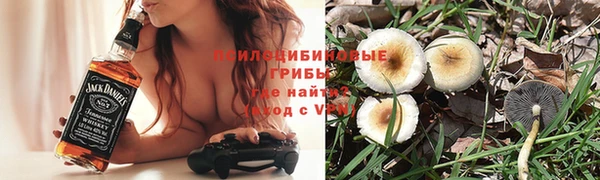 твердый Володарск