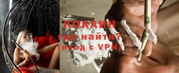 сатива Волоколамск