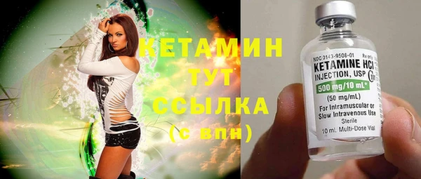 сатива Волоколамск